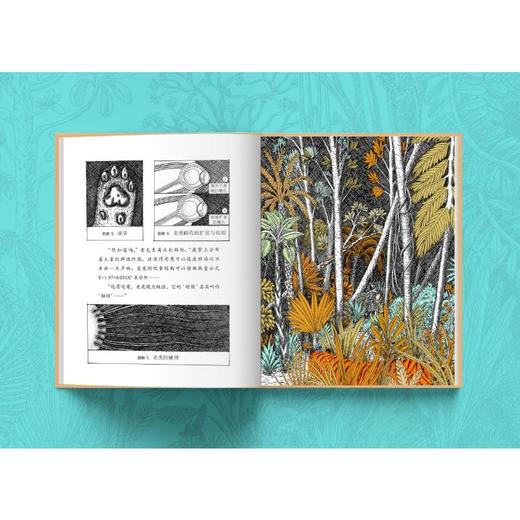 老虎,危险! 商品图2