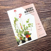 花艺设计原理与技法套装3册：花艺史上的经典主题与样式、经典样式创作详解、从理解植物到设计植物 商品缩略图4
