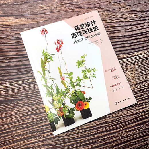 花艺设计原理与技法套装3册：花艺史上的经典主题与样式、经典样式创作详解、从理解植物到设计植物 商品图4