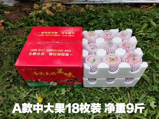 果园直销富硒红富士爆甜精品包装泡沫礼盒红富士新鲜苹果水果带箱9.5-10斤装偏远不发 商品图12