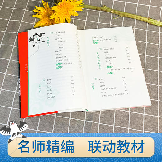 四大传说（民间文学里的中国） 商品图2