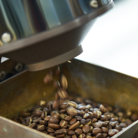 日签｜咖啡果到一杯咖啡的程序（3）