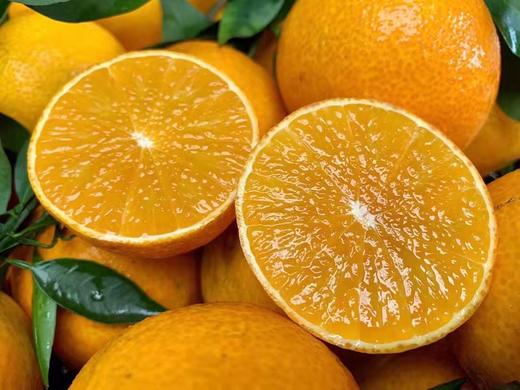 【特别推荐】爱媛38号果冻橙8斤/10斤  皮薄肉厚 果肉细腻 酸甜多汁 可以吸的果冻橙 商品图9