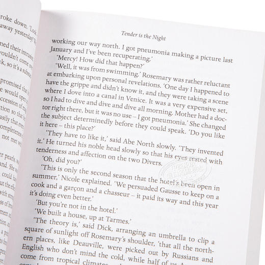 【中商原版】菲茨杰拉德 夜色温柔 Tender is the Night 英文原版 F Scott Fitzgerald 商品图3