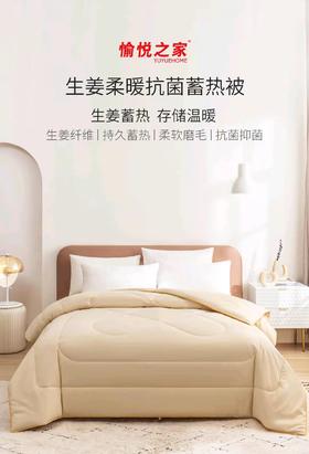 生姜柔暖抗菌蓄热四季被/冬被