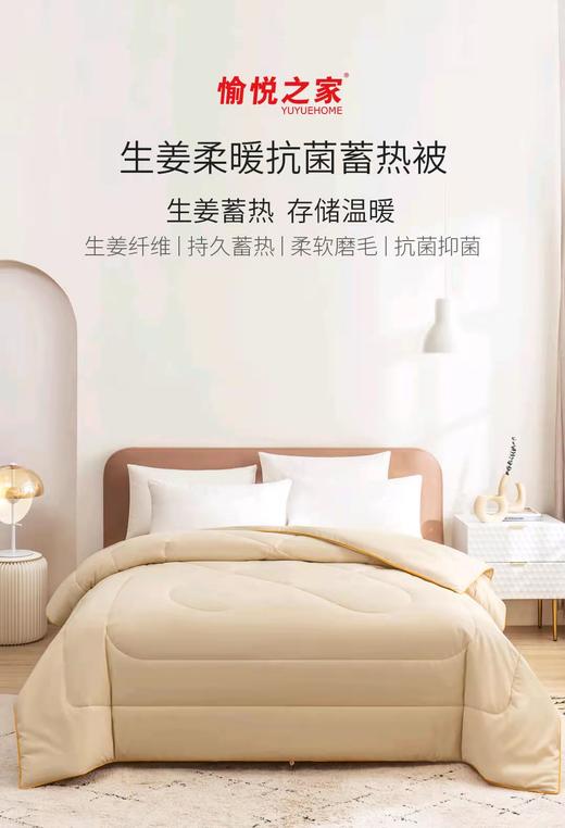 生姜柔暖抗菌蓄热四季被/冬被 商品图0