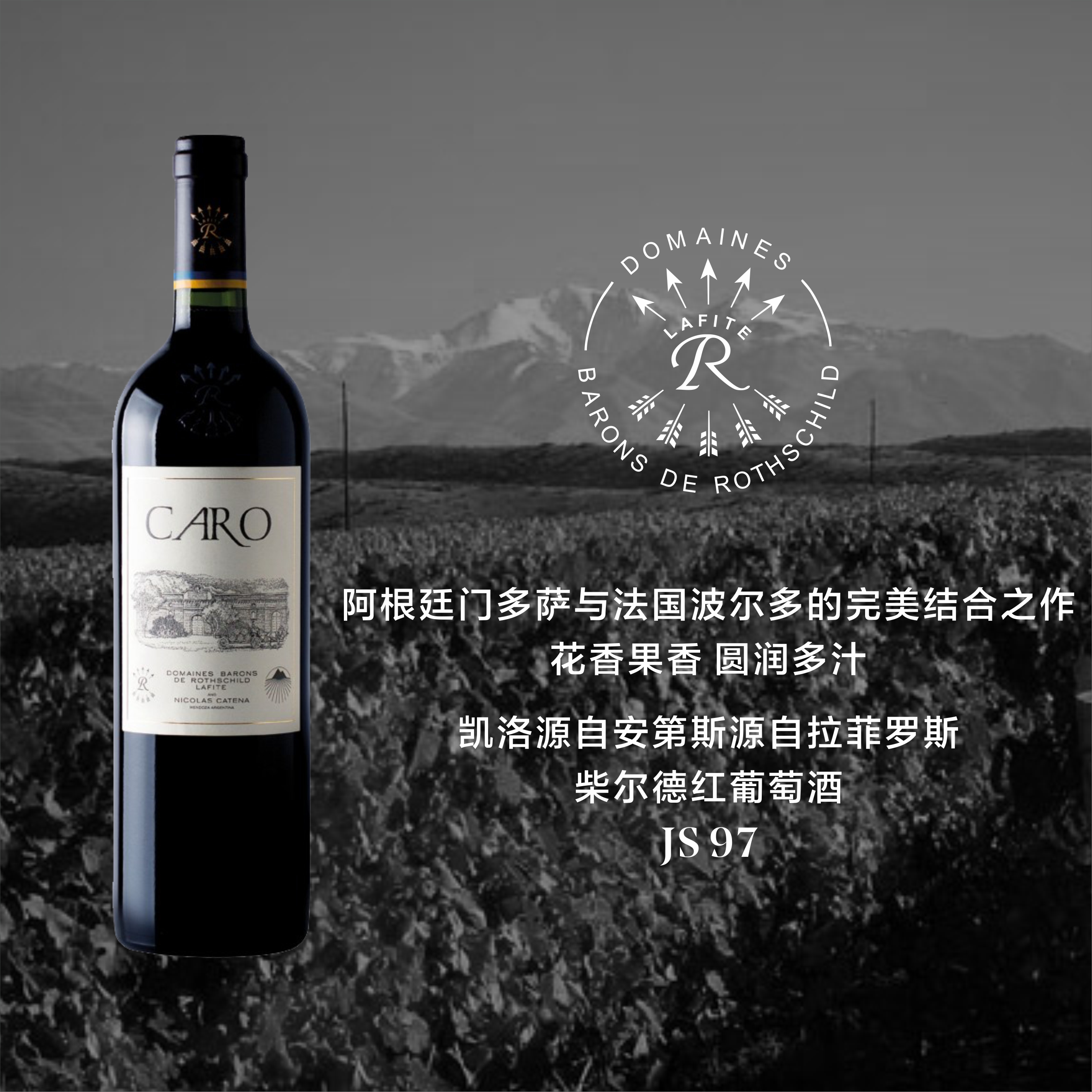 凯洛源自拉菲罗斯柴尔德红葡萄酒 Caro 2017
