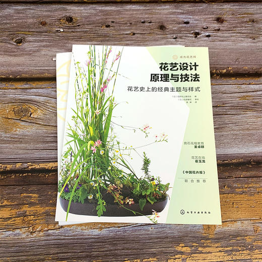 花艺设计原理与技法套装3册：花艺史上的经典主题与样式、经典样式创作详解、从理解植物到设计植物 商品图1