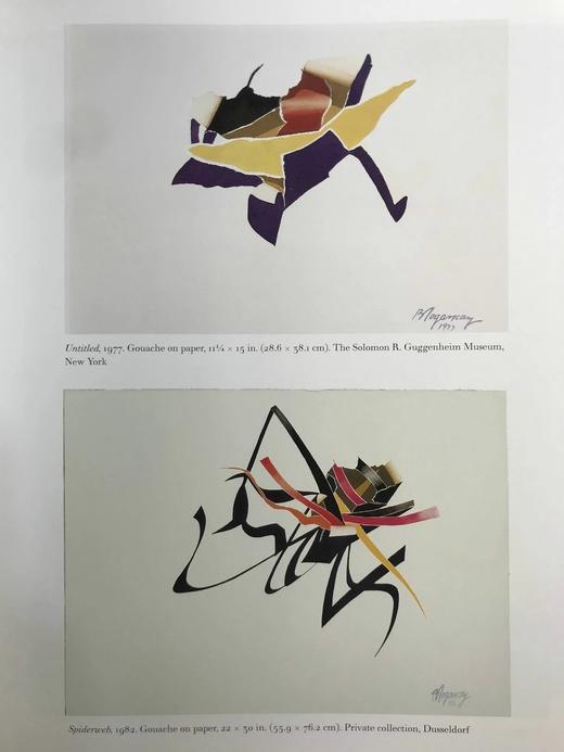 布尔汉·多冈西画集 168幅彩色43幅黑白插图 精装16开 商品图13