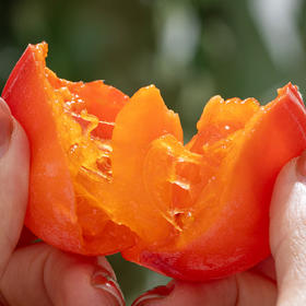 荥阳玫瑰蜜柿|一吸甜如蜜，软糯爆浆，细腻嫩滑