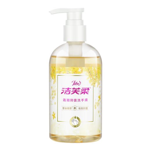 洁芙柔抑菌家用儿童水洗洗手液300ml 商品图0