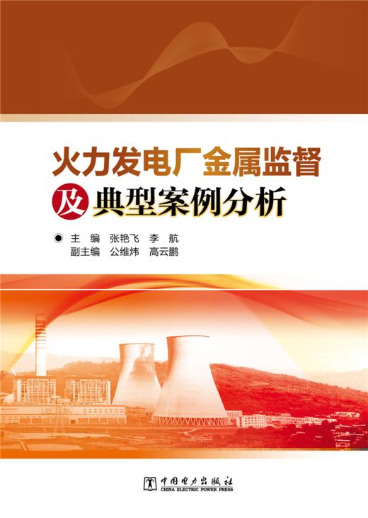 火力发电厂金属监督及典型案例分析 商品图1