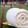 新疆优质棉包边棉被6斤 （冬被儿童被）纯手工包边 （多规格尺寸可选） 商品缩略图0
