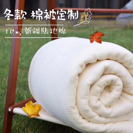 新疆优质棉包边棉被6斤 （冬被儿童被）纯手工包边 （多规格尺寸可选） 商品图0