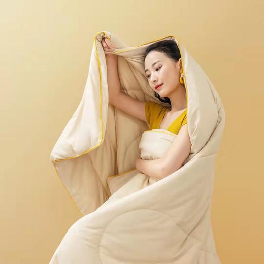 生姜柔暖抗菌蓄热四季被/冬被 商品图3