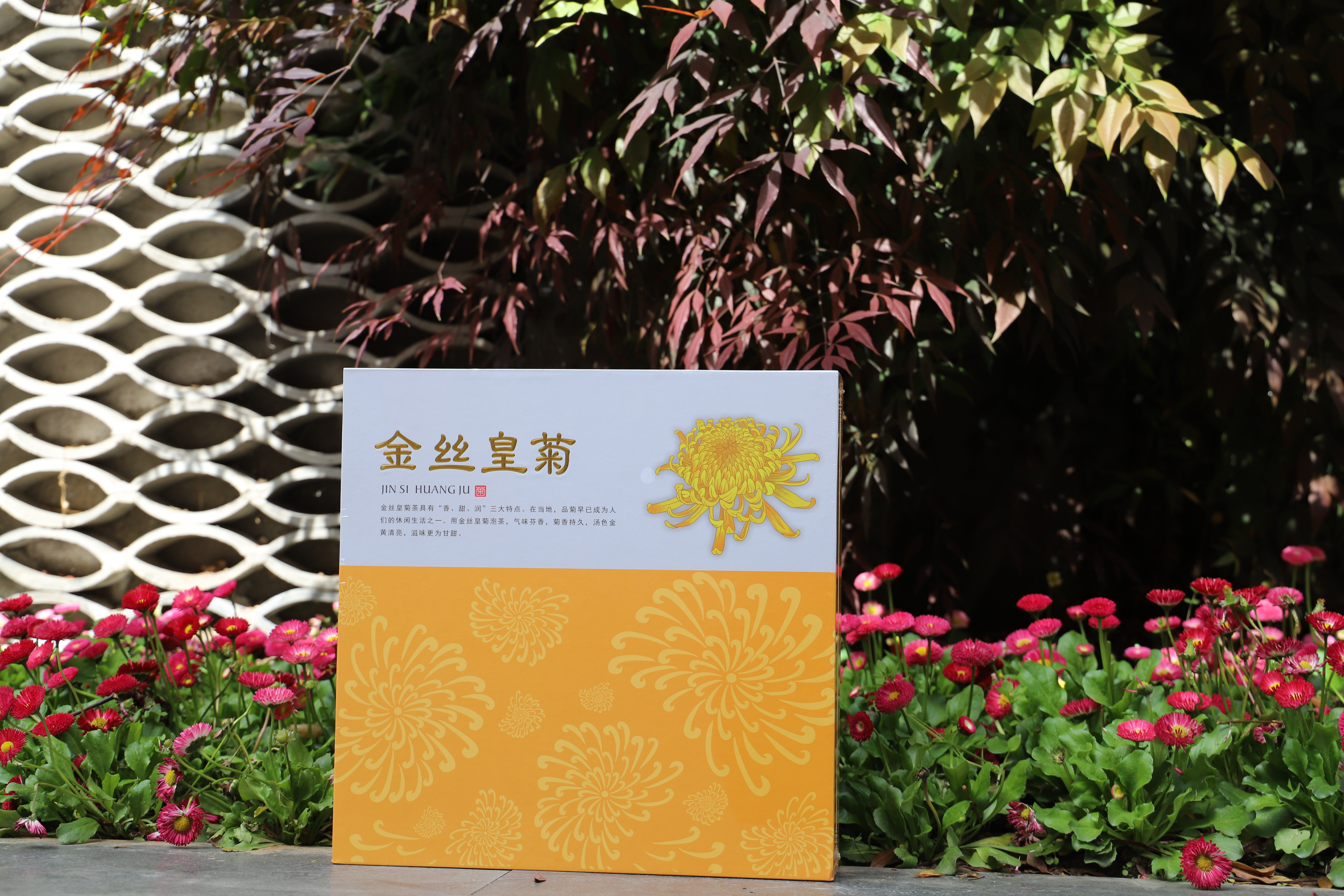 【怡香悠然】礼盒金丝皇菊