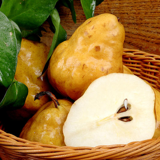 【中华丑梨】当季鲜果 肉多核小 软糯多汁 绵甜爽口 4.5斤装 商品图4