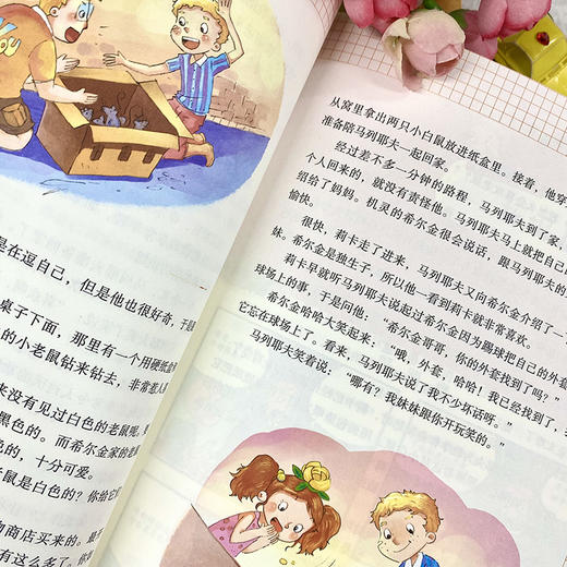 世界经典男孩故事（全6册）《捣蛋鬼日记》《莫吐儿传奇》《彭罗德》《汤姆索亚历险记》《我的超级老实话》《马列耶夫在学校和家里》 商品图5