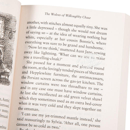 【中商原版】The Wolves of Willoughby Chase 英文原版 Joan Aiken 商品图3