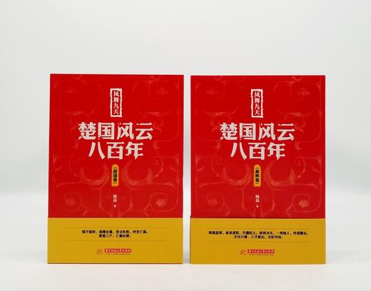 《凤舞九天：楚国风云八百年》上下 商品图0