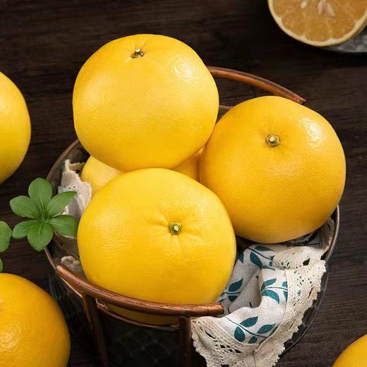 【水份爆棚】福建葡萄柚 商品图1