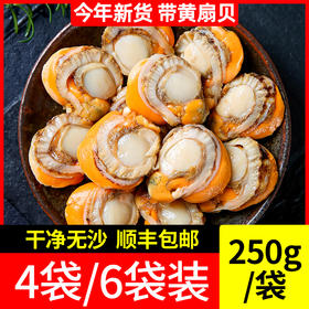 【秒杀】鲜活冷冻水产大个扇贝肉4袋/6袋装（250g/袋）速冻火锅烧烤