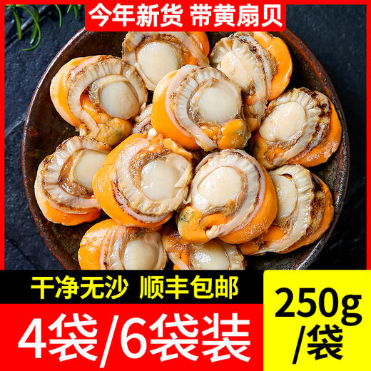 【秒杀】鲜活冷冻水产大个扇贝肉4袋/6袋装（250g/袋）速冻火锅烧烤 商品图0