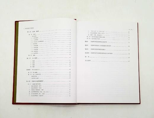 《桂阳刘家岭宋代壁画墓》 商品图3