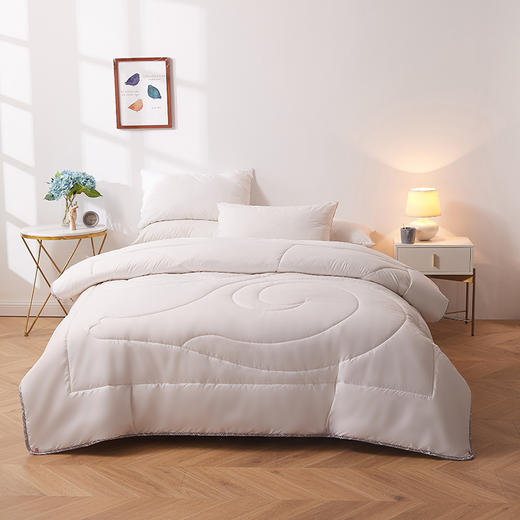 恒源祥 美馨舒适羊毛被HYX124BZ【CZ】 商品图5