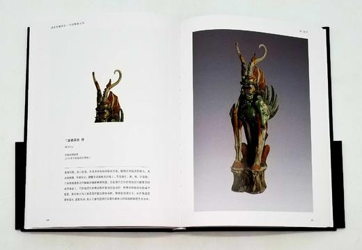 《国家馆藏珍宝：中国陶瓷大系》，精装，16开铜版彩印 商品图13
