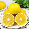 【水份爆棚】福建葡萄柚 商品缩略图4