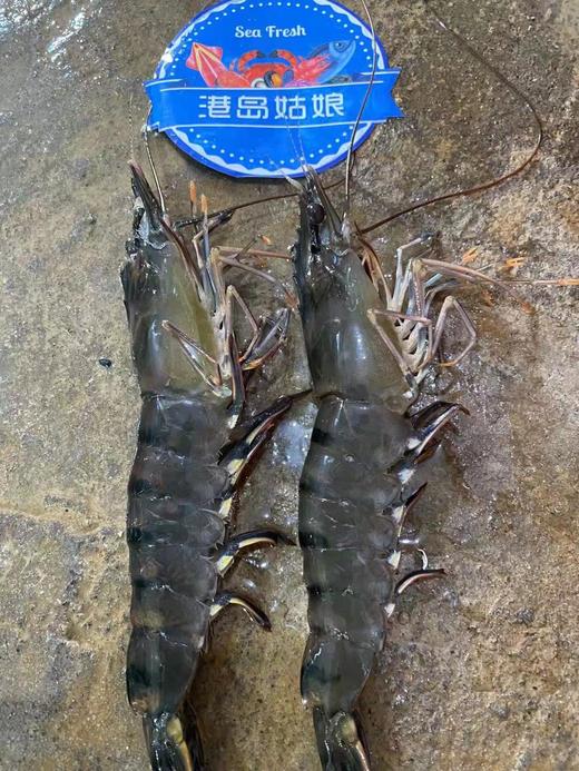 港岛姑娘 特大黑虎虾超大深海虾特大青虾甜嫩个大体肥活冻 商品图1