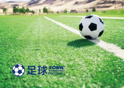 【索尼克国际运动中心@高新】39.9元3次橄榄球/综合体能训练课程（二选一）， 让你的孩子课余生活更加丰富 商品图1