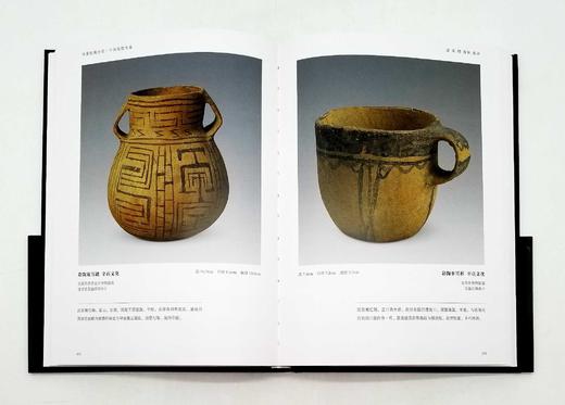 《国家馆藏珍宝：中国陶瓷大系》，精装，16开铜版彩印 商品图5