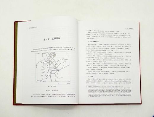 《桂阳刘家岭宋代壁画墓》 商品图4