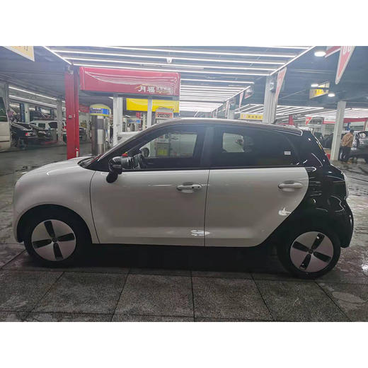 欧拉 黑猫 301KM 标准版 【长租-北京】 商品图5