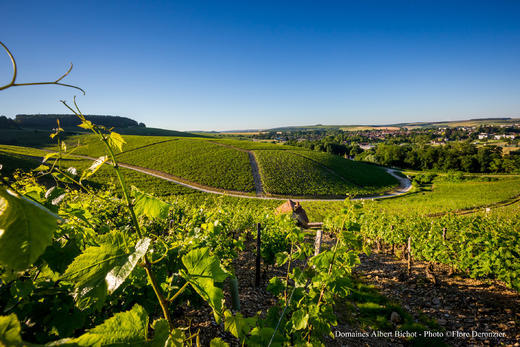陛寿家族庄园夏布利慕东尼独立特级园干白2018Albert Bichot Chablis Grand Cru Montonne 商品图2