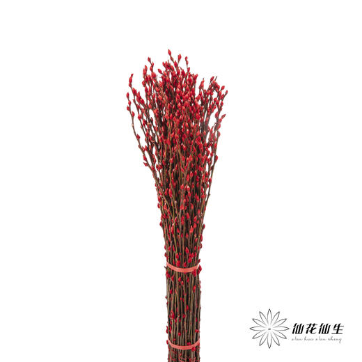 叶材 | 银柳红色 商品图7