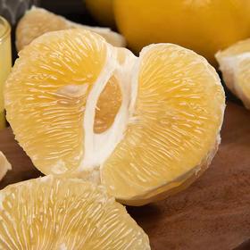 【水份爆棚】福建葡萄柚