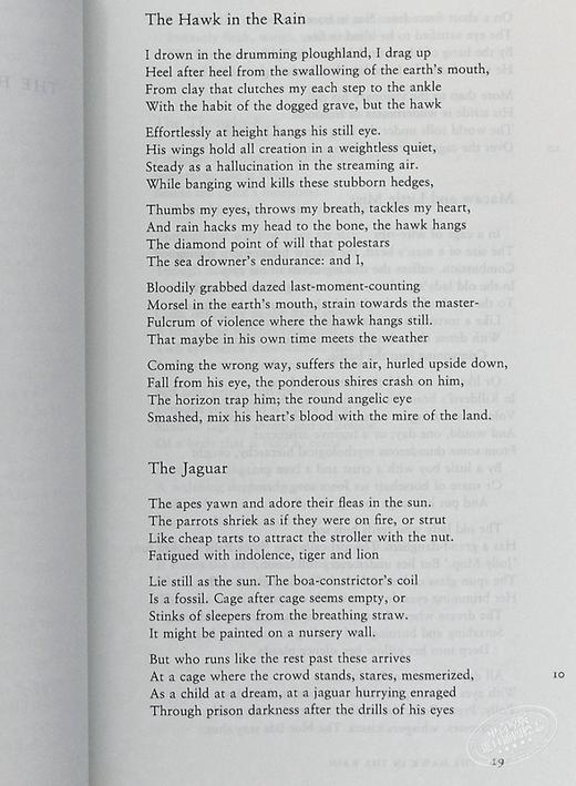 【中商原版】特德 休斯诗集 英文原版 Collected Poems of Ted Hughes Ted Hughes 商品图4