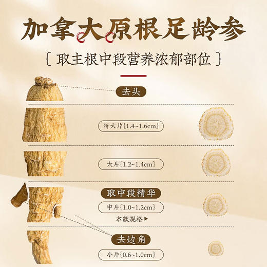 庄民 西洋参 花旗参含片泡茶 西洋参切片加拿大进口原料1.0-1.2cm中片5g*30包可磨西洋参粉 商品图9