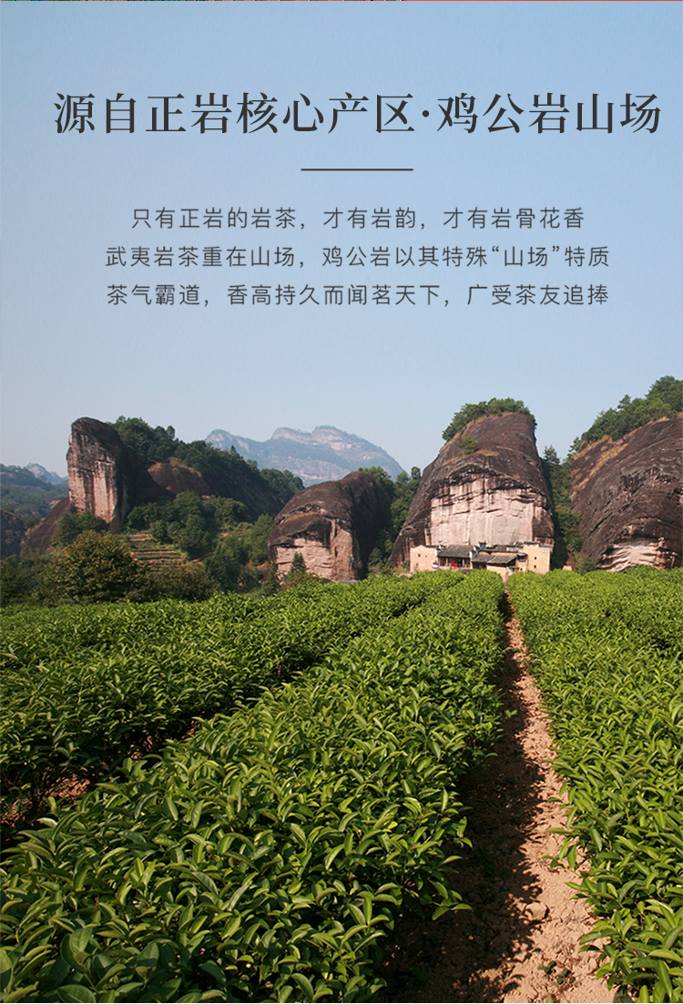 八马茶业丨王信记乌龙茶马说肉桂6000礼盒装(160g)