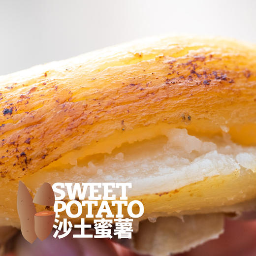 沙土蜜薯已糖化好（烟薯25/白哈密）  申通快递 商品图9