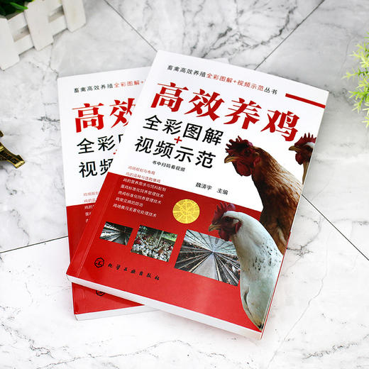高效养鸡全彩图解+视频示范 商品图2