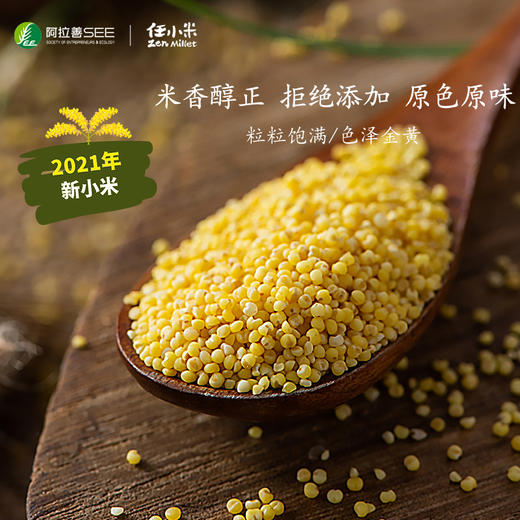 任小米5斤小米 商品图0