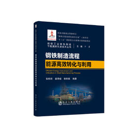 钢铁制造流程能源高效转化与利用/张欣欣,姜泽毅,张欣茹