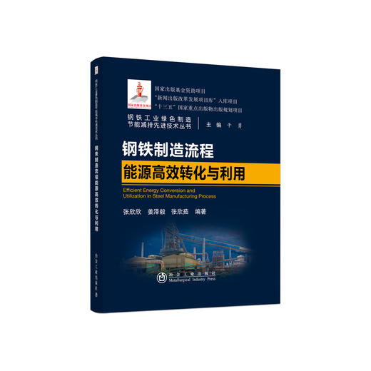 钢铁制造流程能源高效转化与利用/张欣欣,姜泽毅,张欣茹 商品图0