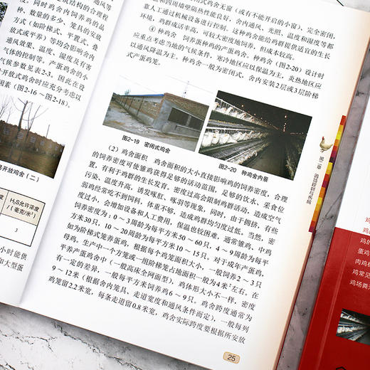 高效养鸡全彩图解+视频示范 商品图6