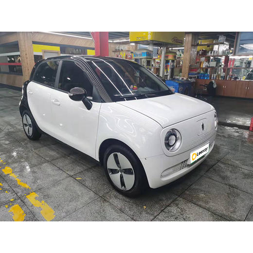 欧拉 黑猫 301KM 标准版 【长租-北京】 商品图2