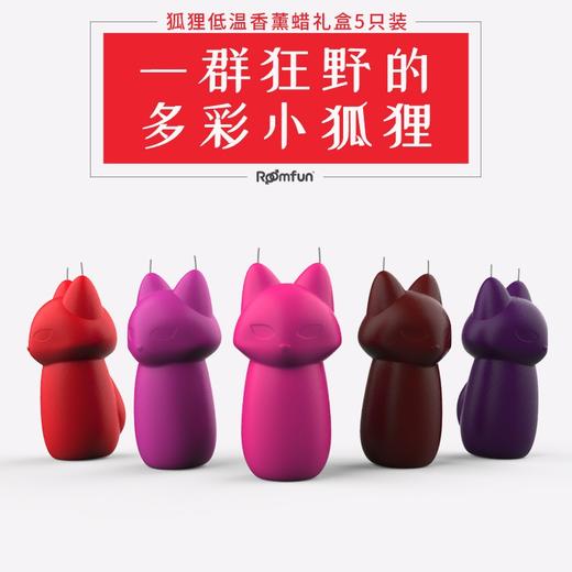 花香味低温香薰 商品图10